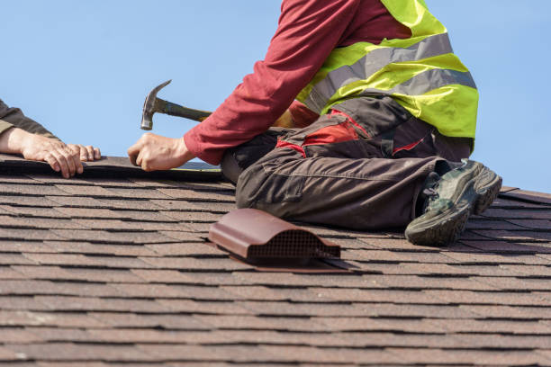 Best Roof Gutter Cleaning  in Pittsfield, IL