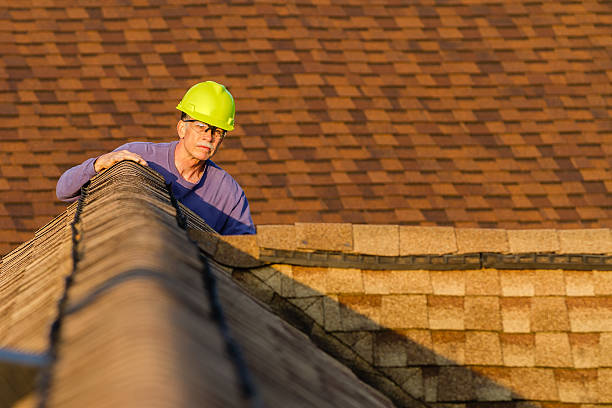 Roof Gutter Cleaning in Pittsfield, IL