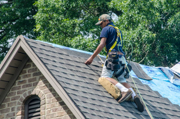 Best Residential Roofing Contractor  in Pittsfield, IL